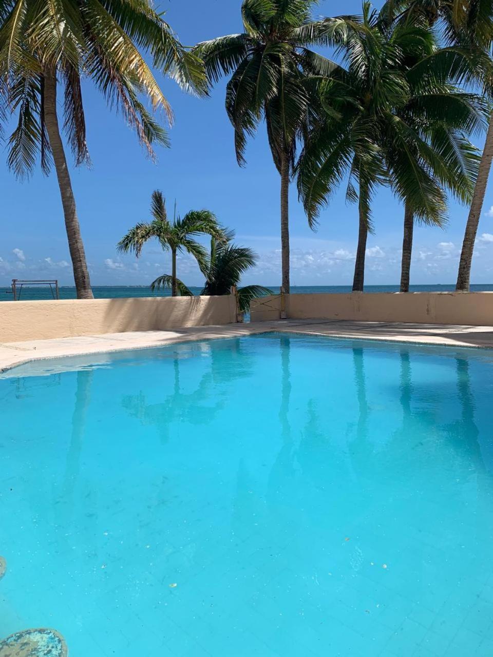 Cancun Ocean View Flamingo Plus Bilik gambar