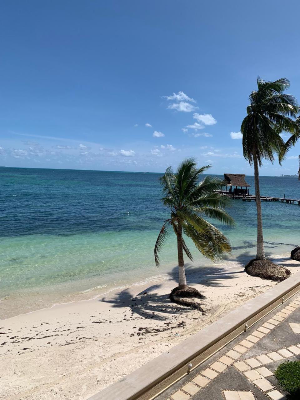 Cancun Ocean View Flamingo Plus Luaran gambar